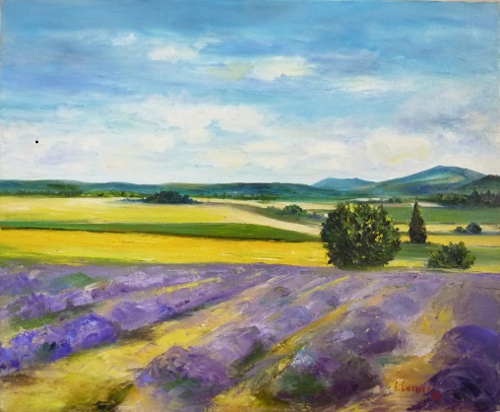 Paysage de Provence-1